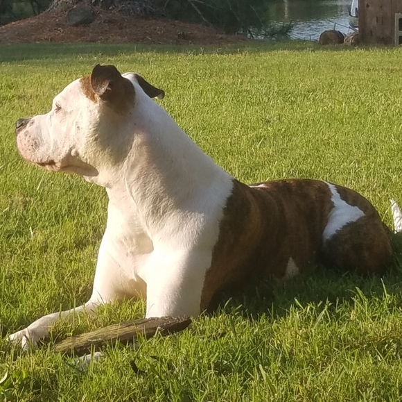 Meet your Posher, Freya EightyEight - Picture 15 of 16